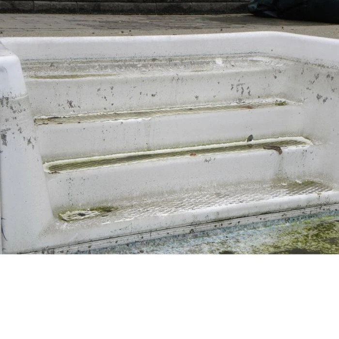 Olympic Step Renew Resurfacing Kits 4 Olympic Step Renew Resurfacing Kits - Image 4