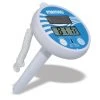 ILP Solar Floating Thermometer