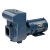 Pentair Sta-Rite D Series Cast Iron Pump 230V, 3 HP