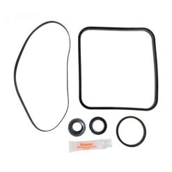 Hayward Super Pump Go Kit