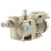 Pentair SuperFlo VS Variable Speed Pump