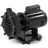 Pentair Booster Pump For Pressure Cleaners