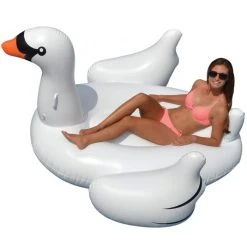 ILP Swan Float 3 ILP Swan Float -Doheny Shop 7827swan b sq