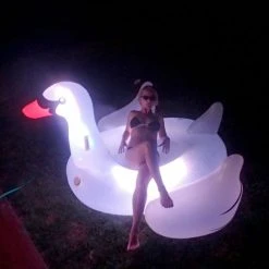 Swimline Giant L.E.D. Swan Float -Doheny Shop 8429 beauty a