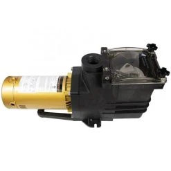 Doheny's Pool Pro Plus Inground Pump, 1.5 HP 115/230V -Doheny Shop 90555 b2020 1