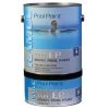Ramuc Type Ep Epoxy Pool Paint, Monument Gray
