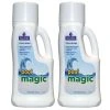 Natural Chemistry Pool Magic, 2 Liter