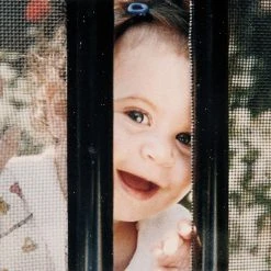 Doheny's Black Removable Pool Protection Fencing, 5x10 Ft Fence Section 9 Doheny's Black Removable Pool Protection Fencing, 5x10 Ft Fence Section -Doheny Shop httpdohenyc1.nextmp.netmediawysiwygimgbase7454 e sq