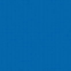 SR Smith Frontier III Replacement Diving Board, 10 Ft, Blue