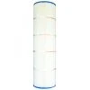 Pleatco PPCO100 Filter Cartridge, 1 Pack