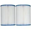 Pleatco PRB25SF-PAIR Filter Cartridges