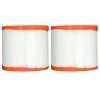 Pleatco PWW10-JH-PAIR Filter Cartridges